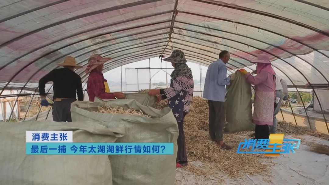 直击太湖开湖现场！鲜美湖鲜大量上市，资深吃货准备好了吗？