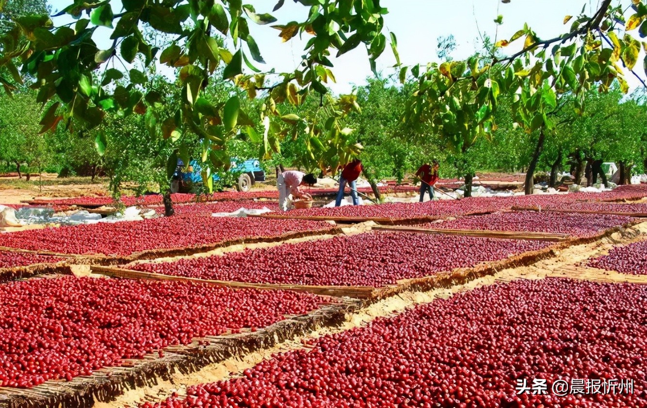 打卡乡村美景,打卡美丽网红村