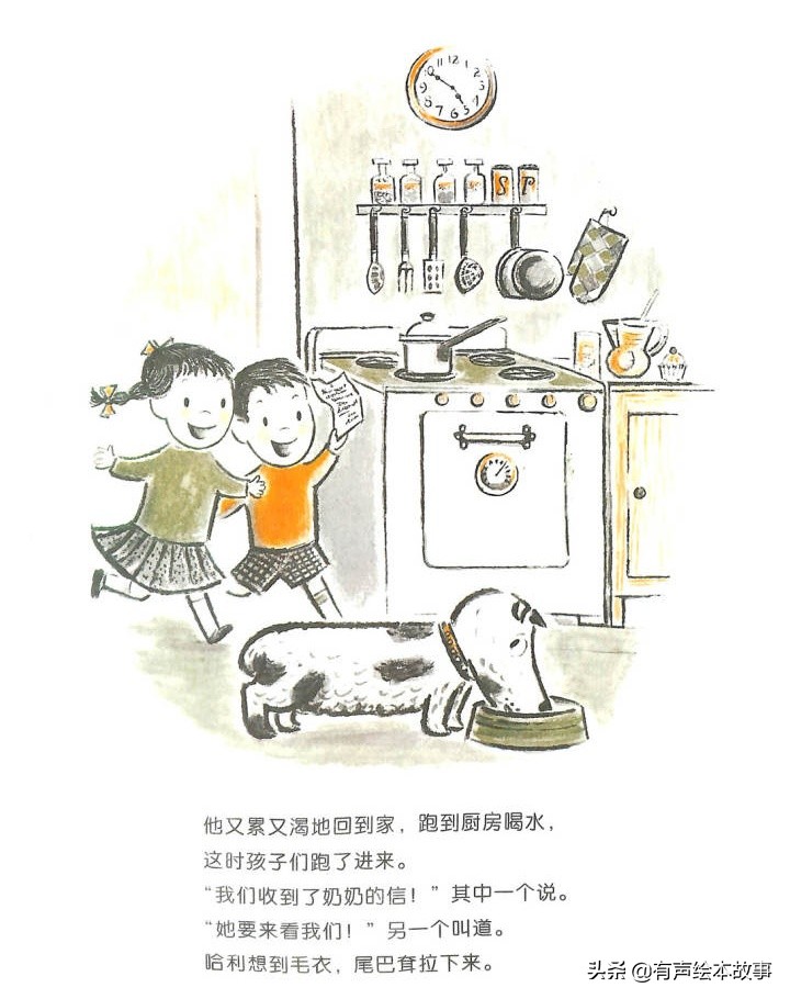 儿童故事哈利的花毛衣,哈利不可以有声绘本故事