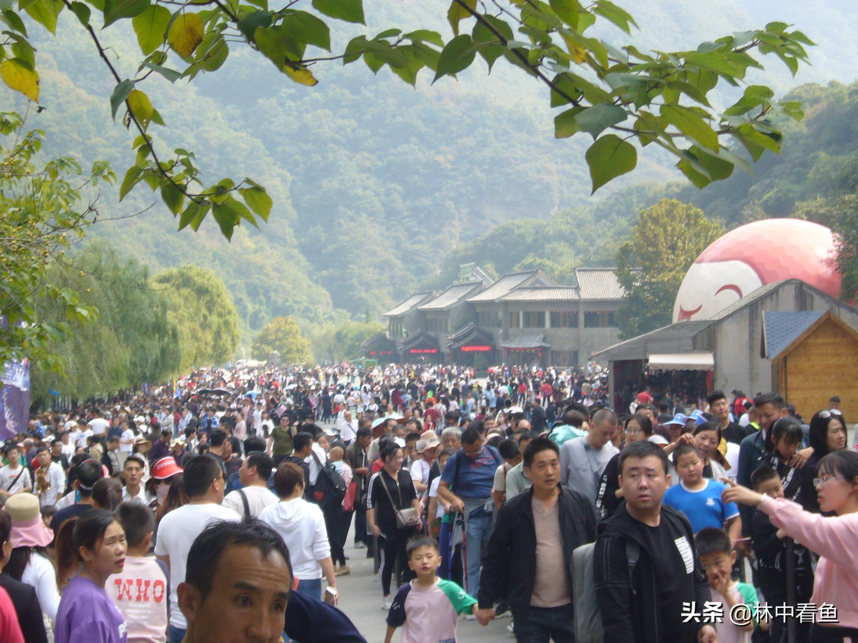 云台山风景好不好,焦作云台山有什么特点