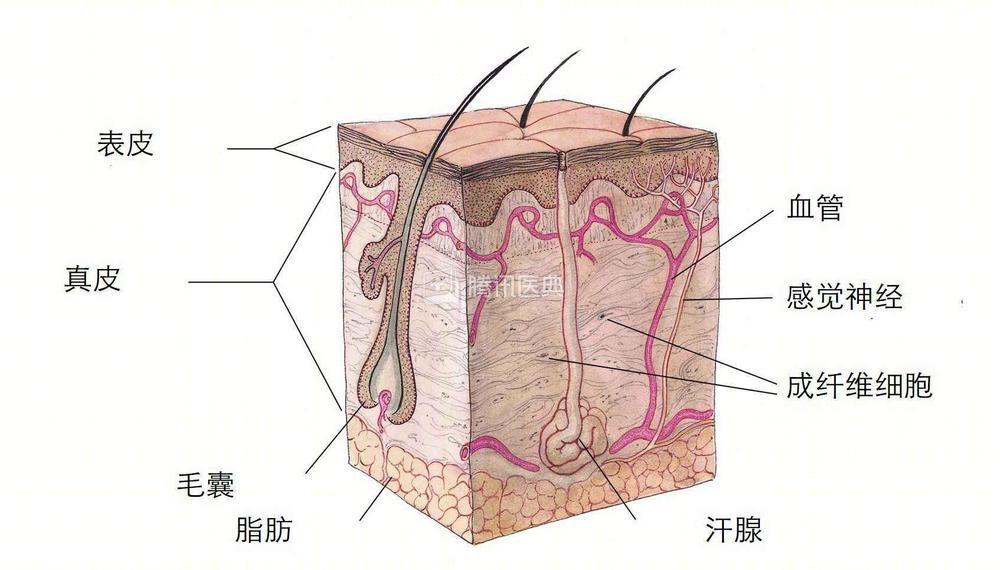 20岁小伙脚臭,25岁帅哥脚臭怎么办