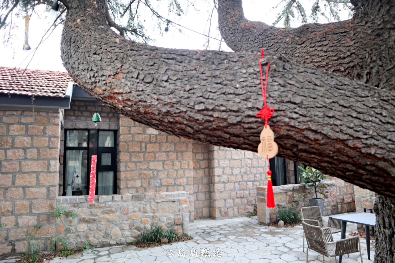 远离城市休闲的好地方,青岛郊区小众好去处