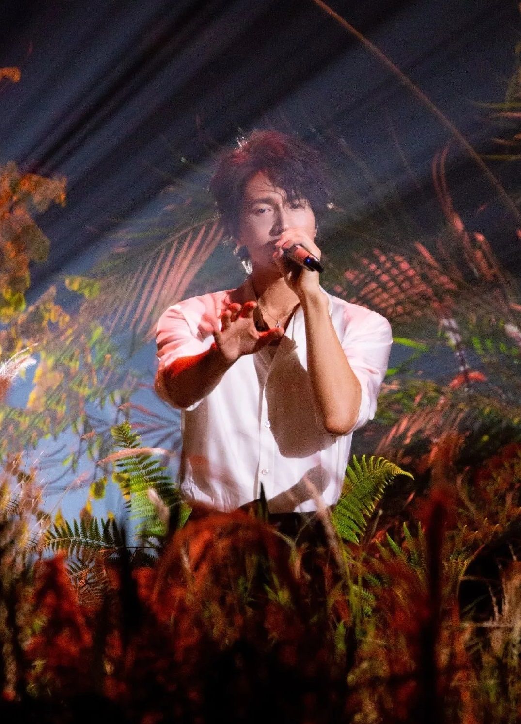 言承旭综艺节目落泪,言承旭上综艺哭