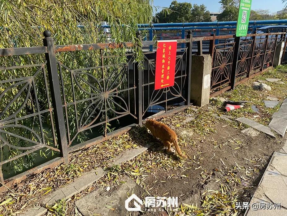 逆天改命!姑苏亿象城有人接手了