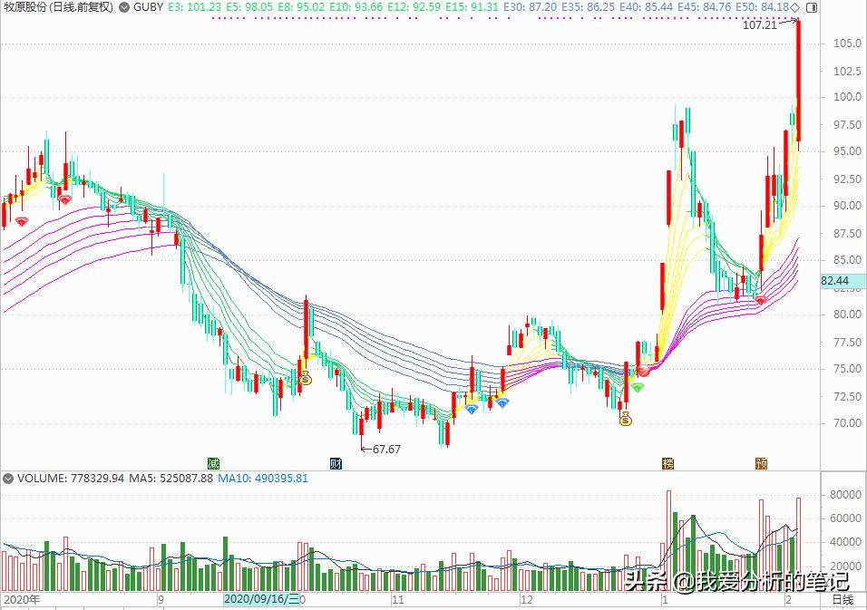 天邦股份对明年猪价的预判,天邦股份还会跌吗