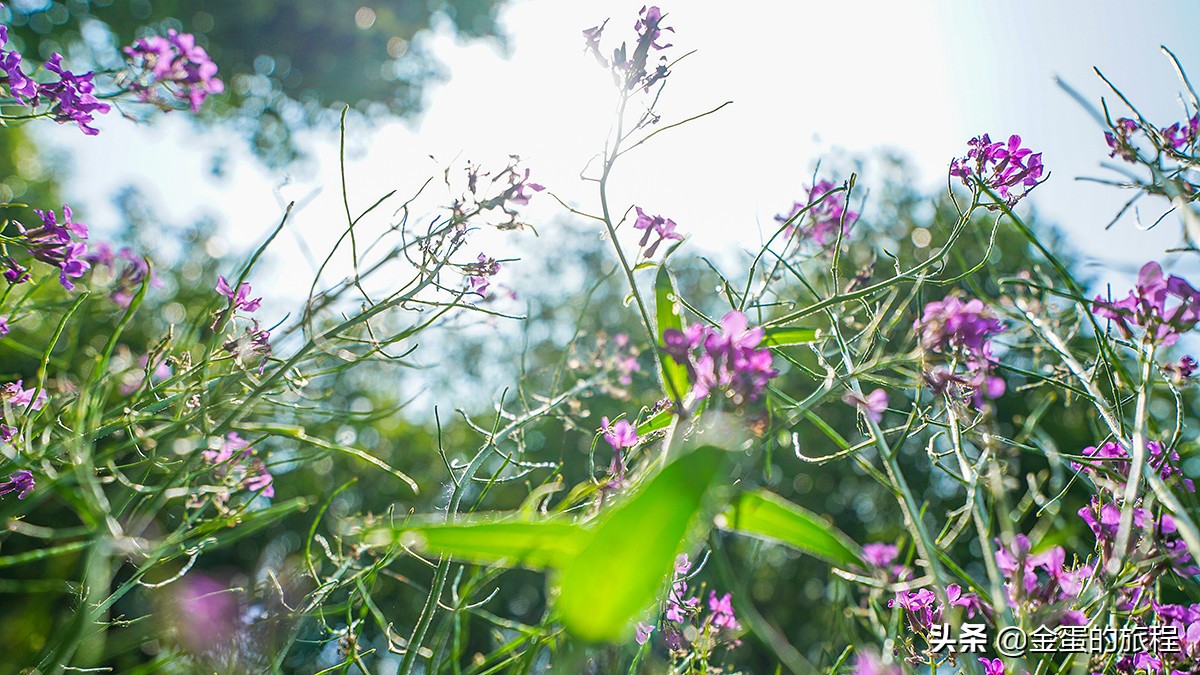 苏州人都不知晓的景点,苏州只有本地人知道的风景区