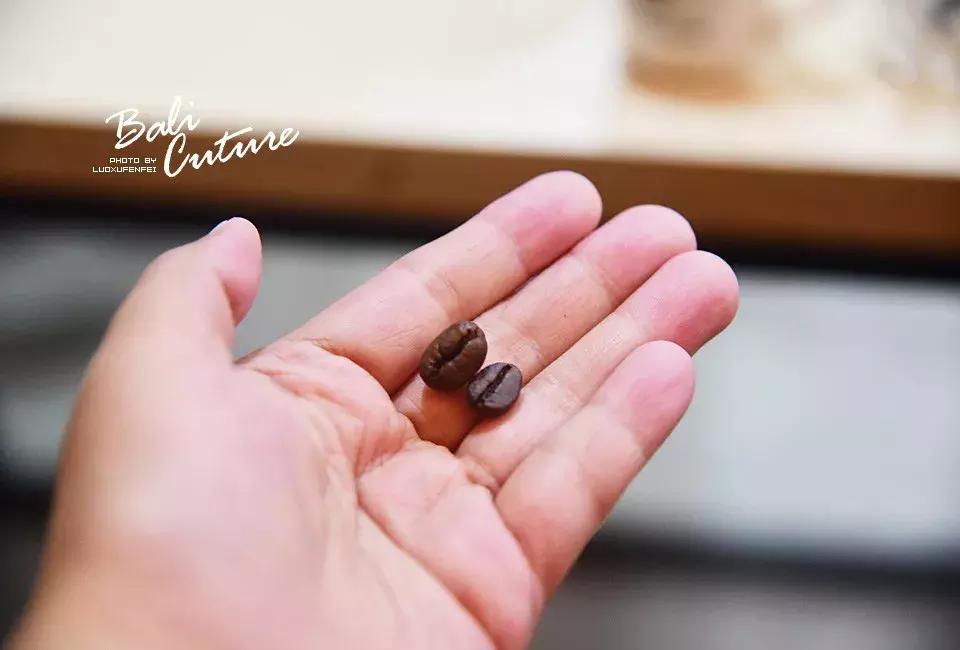 999玩转巴厘究竟嗨不嗨：香遇巴厘，南太平洋的风与海