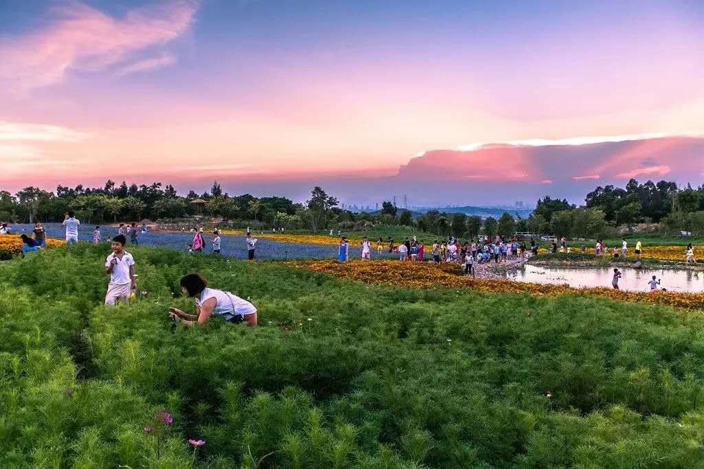 厦门翔安中职学校副校长,厦门翔安一中教师招聘