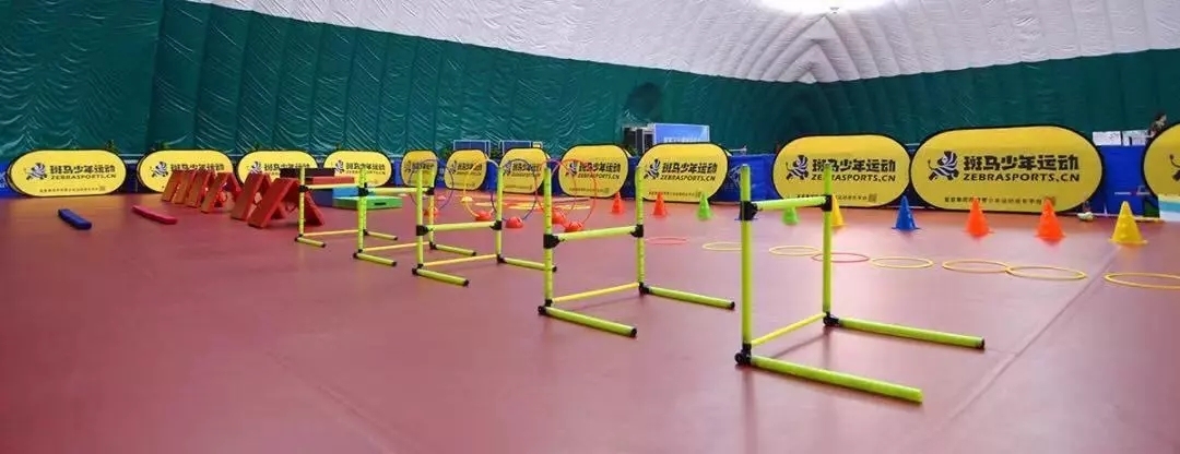 斑马少年运动平台,斑马少儿体能训练中心