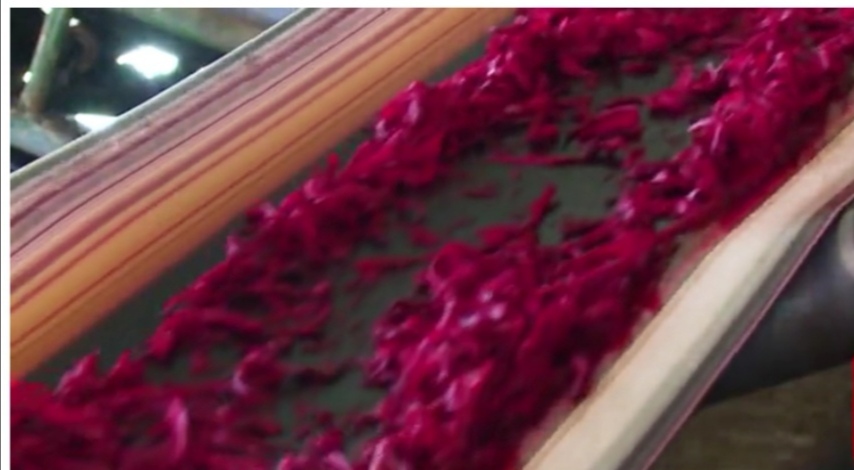 【跋涉边境亲吻祖国】58、奇台：红花似火的边境县…