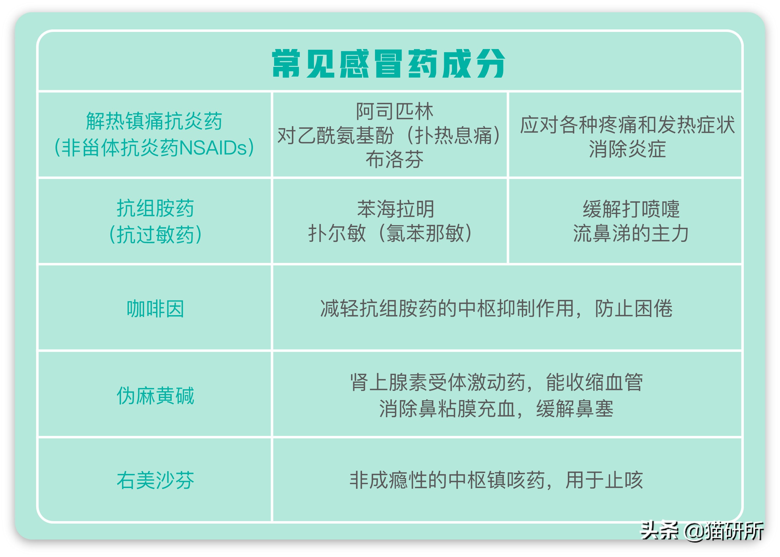 给猫粮投毒辟谣,猫吃人用感冒药吗