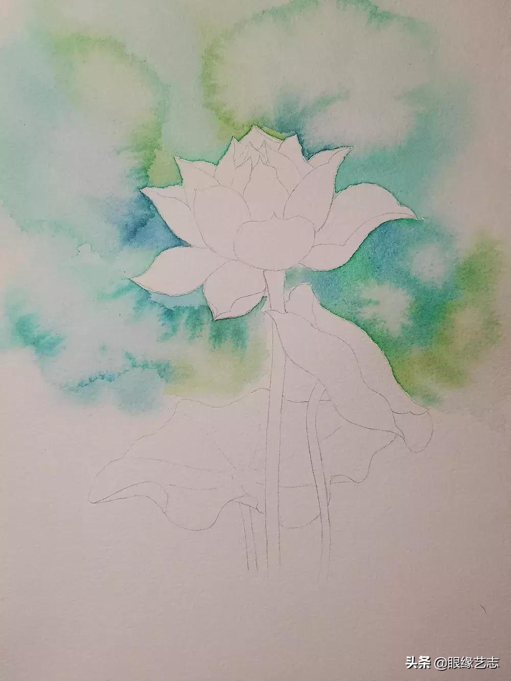 水彩莲花画法教程,白色荷花水彩画法教程