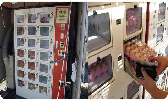 在日本的自助贩卖机里，你能买到全宇宙