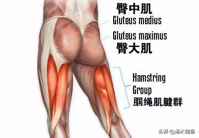 导致女性出现小腿粗肿的肌肉型小腿的三个原因及解决方法