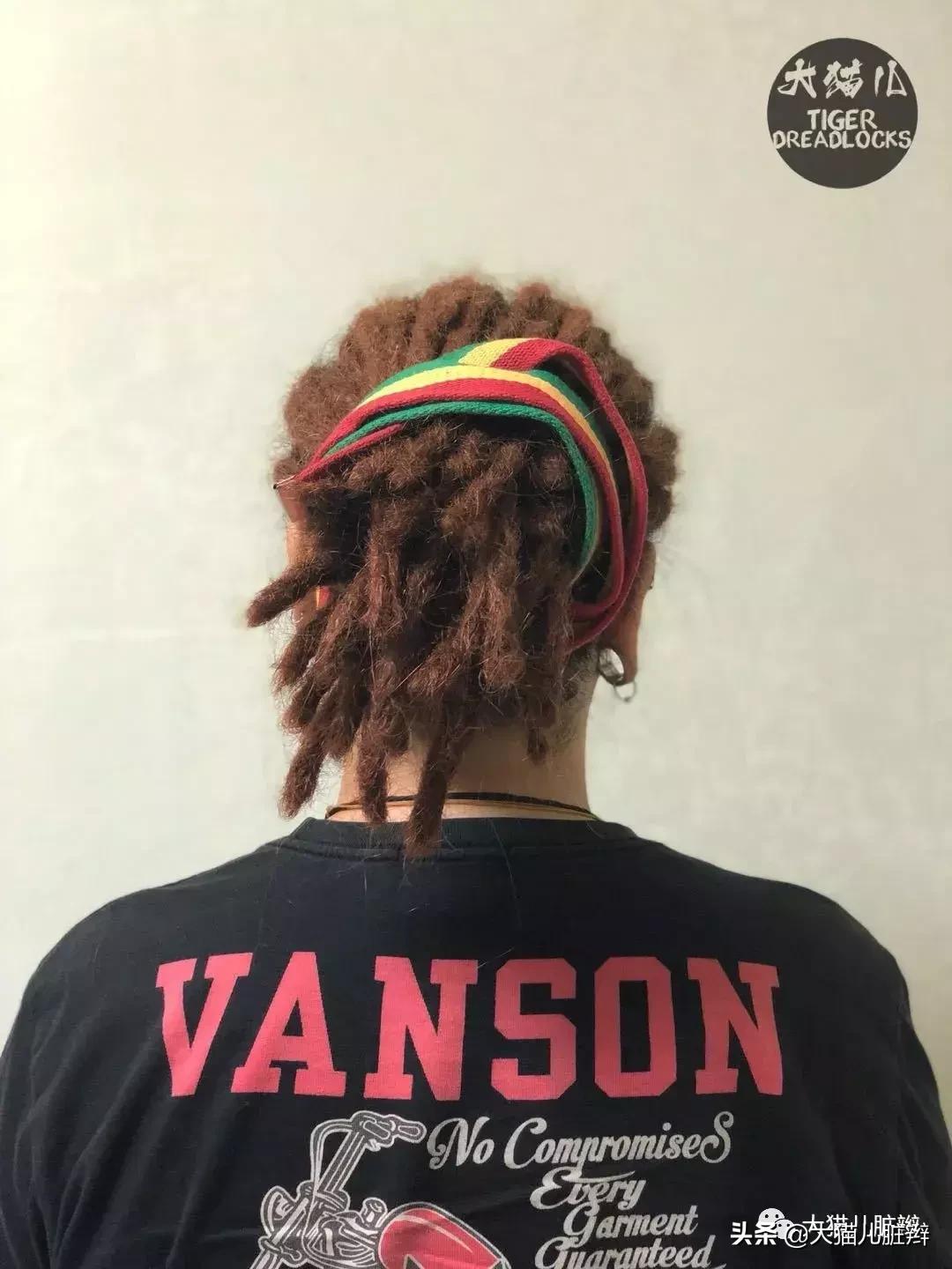 大猫儿脏辫#——老朋友萌仔