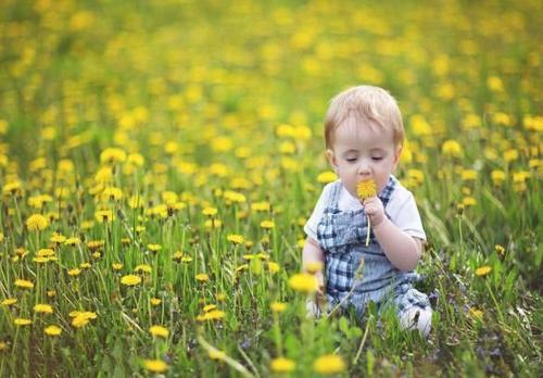 胎儿体重标准参照表,儿童标准身高体重表