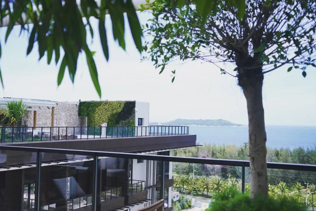 三亚这家酒店超适合度假,三亚环保酒店