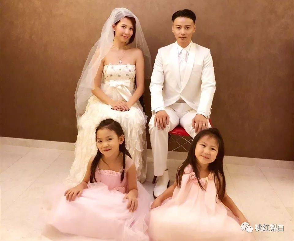 香江美人传奇李嘉欣,香江美人传奇洪欣