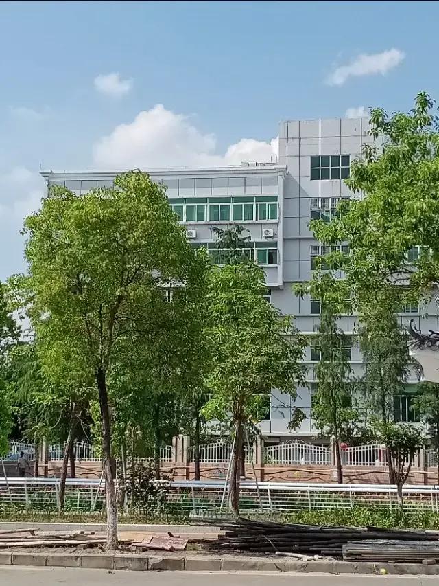 离婚后的生活男人如何度过,离婚后重新开始生活的句子