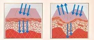 景甜倪妮同台2019年,倪妮景甜最新消息