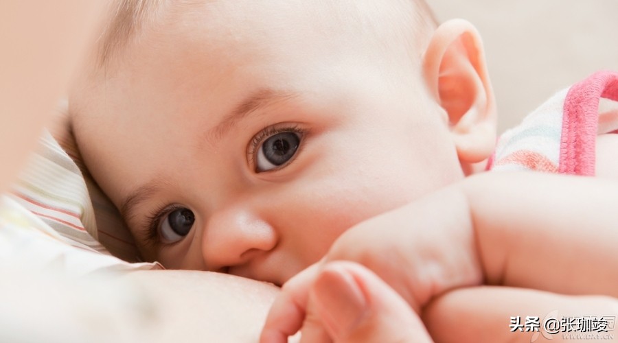 NO：4.蛋*粉白**到底能不能吃？这么说，一下就看懂了！