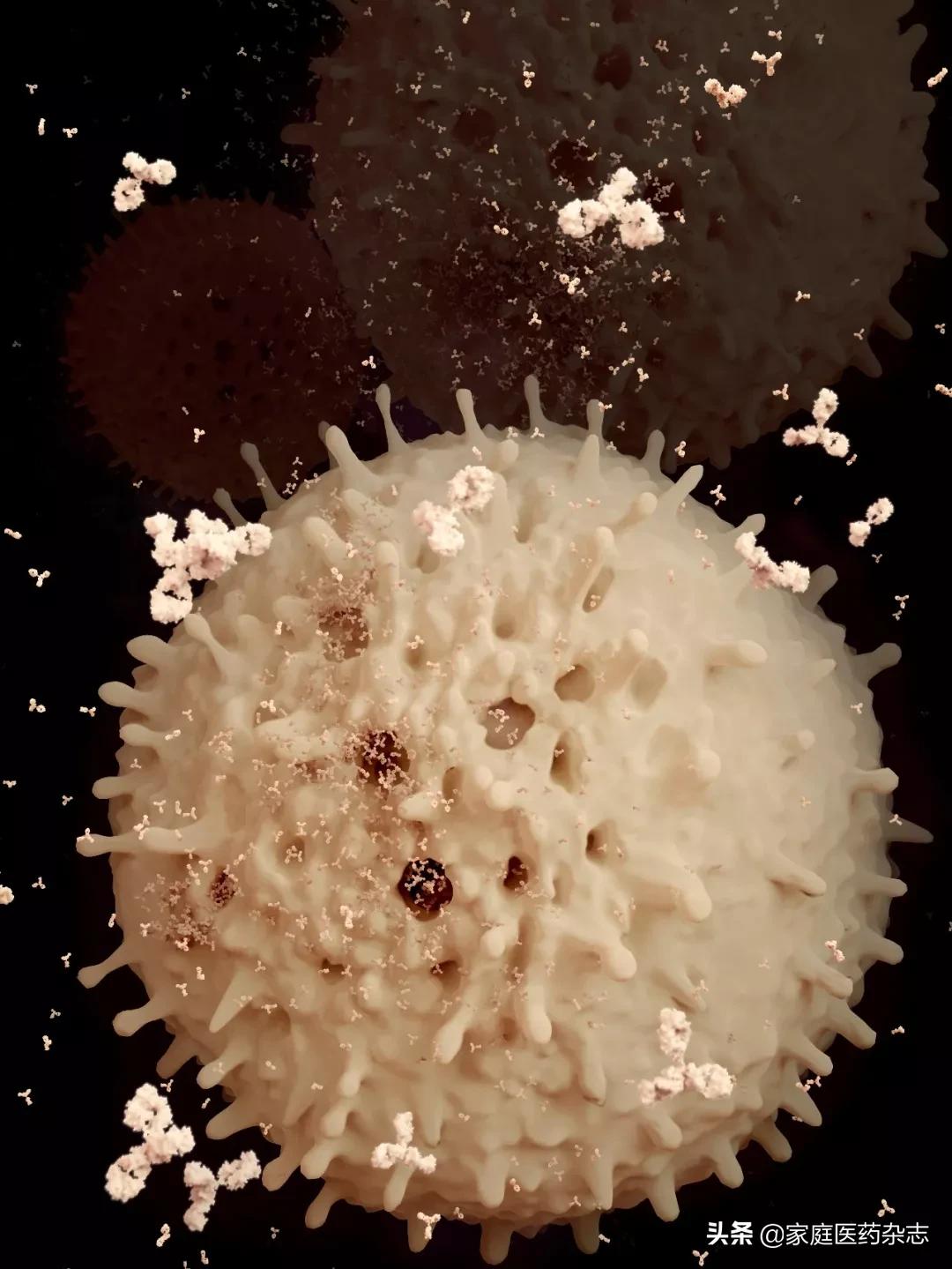 鍋囧鐥呮瘨鎰熸煋浜嗘垜,鍋囧鐥呮瘨鎰熸煋浜嗕綘