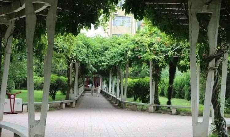 河南省商务中等专业学校招生简章,河南商业中专学校