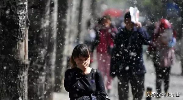 运城稷山今天下雪是不是人工降雪,稷山未来45天天气