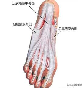 足底筋膜炎可以快走吗,足底筋膜炎快走