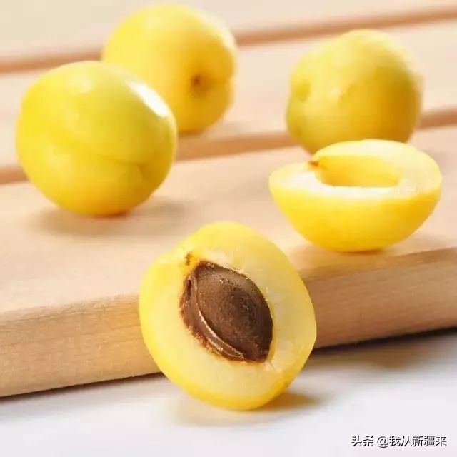 库车龟兹城市介绍,龟兹库车简介