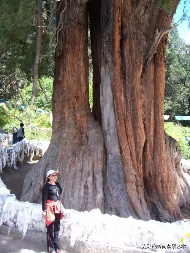 中国十大千年古寺古刹之首,中国十大千年古尸容貌复原成功