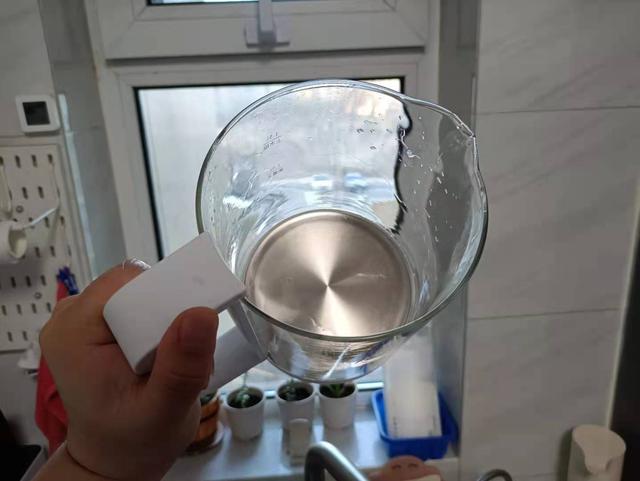 米家智能多功能养生壶食谱,米家多功能养生壶可以煮什么