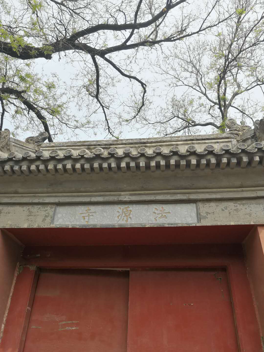 法源寺散文,散文丁香花邂逅法源寺