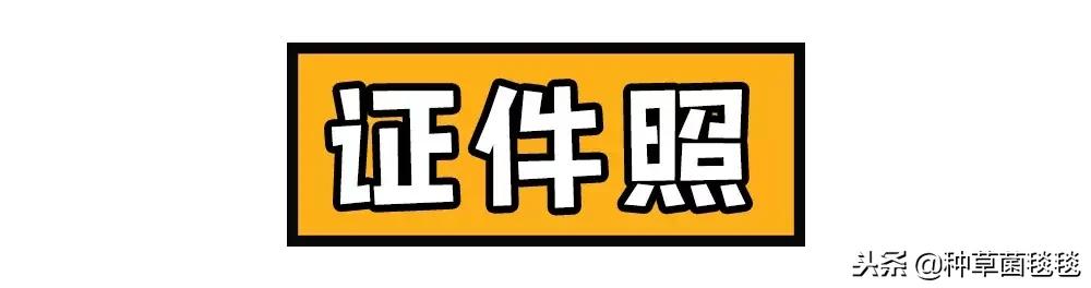 女人办公室必备物品,女生办公必备物品