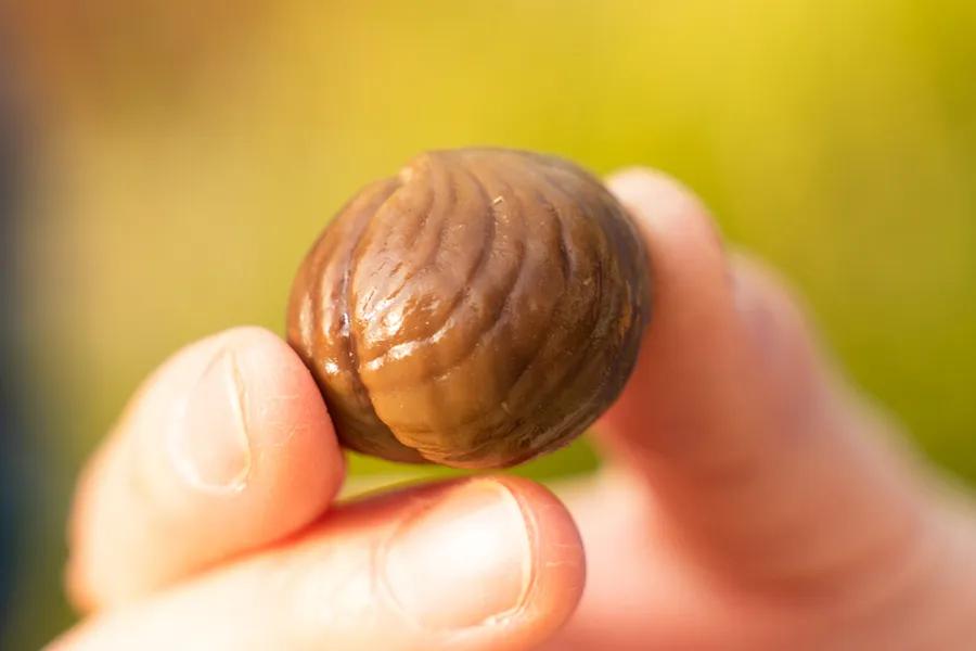 在李佳琪直播间买零食，是个划算的选择吗？