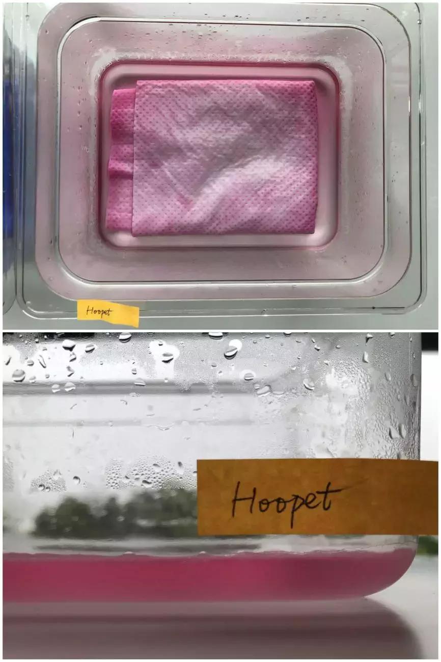 一次性宠物浴巾测评,宠物浴巾测评