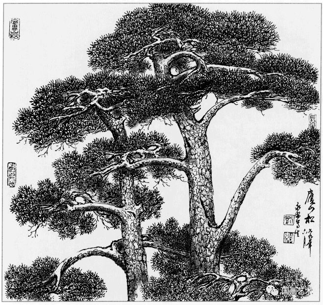 日式线描松树波浪纹,深度线描儿童画松树