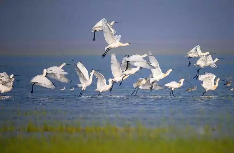 官宣外交部将向全世界推介天津,外交部推介天津中文版