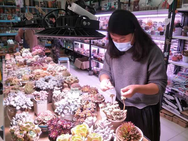 郑州几大花卉市场,郑州花卉市场批发各种花价格