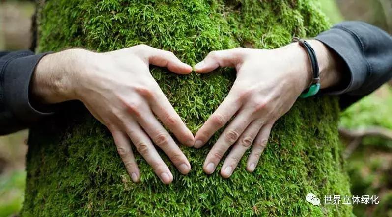 为什么园艺疗法能快速发展,园艺疗法的应用领域