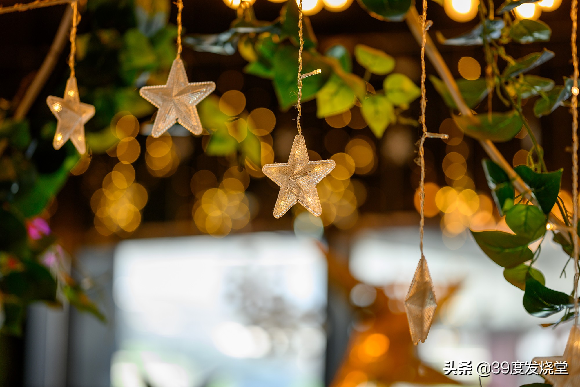 这5000元真值了!尼康Z85mmf/1.8轻量化人像镜头评测