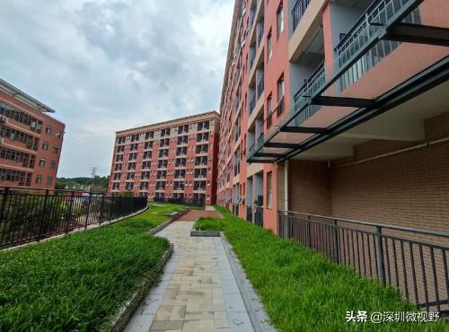 龙岗区新扩建学校名单,深圳龙岗区学校扩建