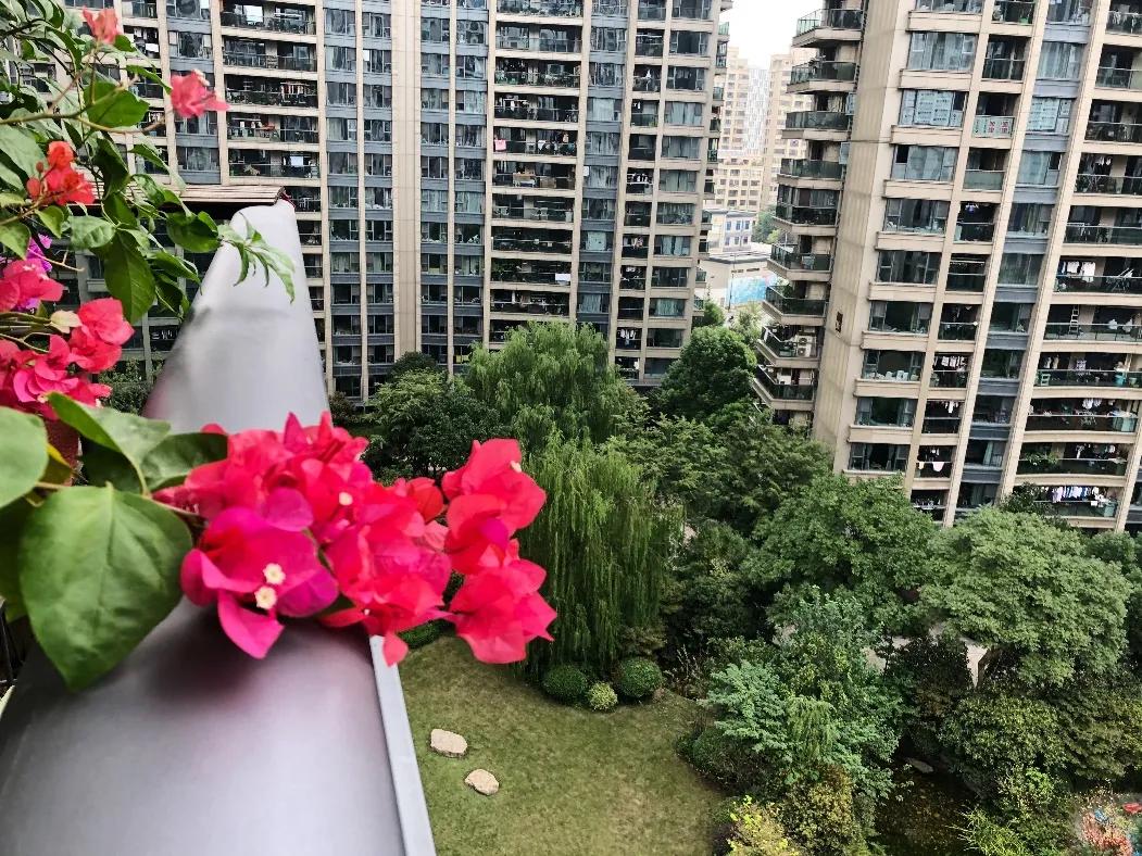 上千人带小板凳通宵排队买的万家花城，热带风情园林太经典