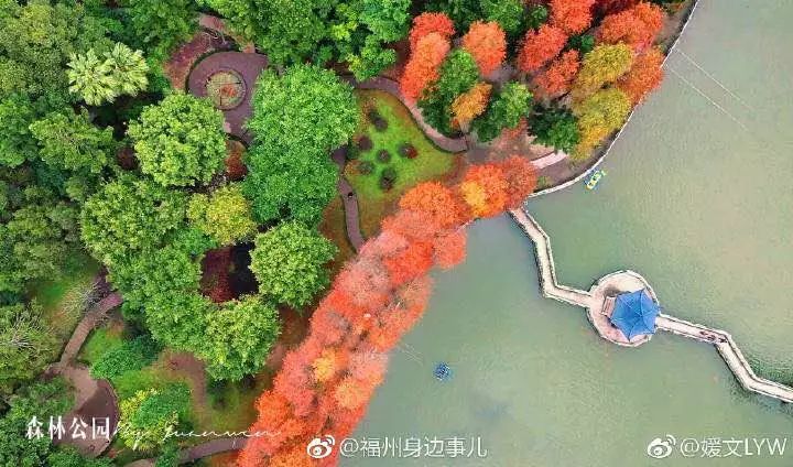 福州有什么好东西,福州有什么福利可以领