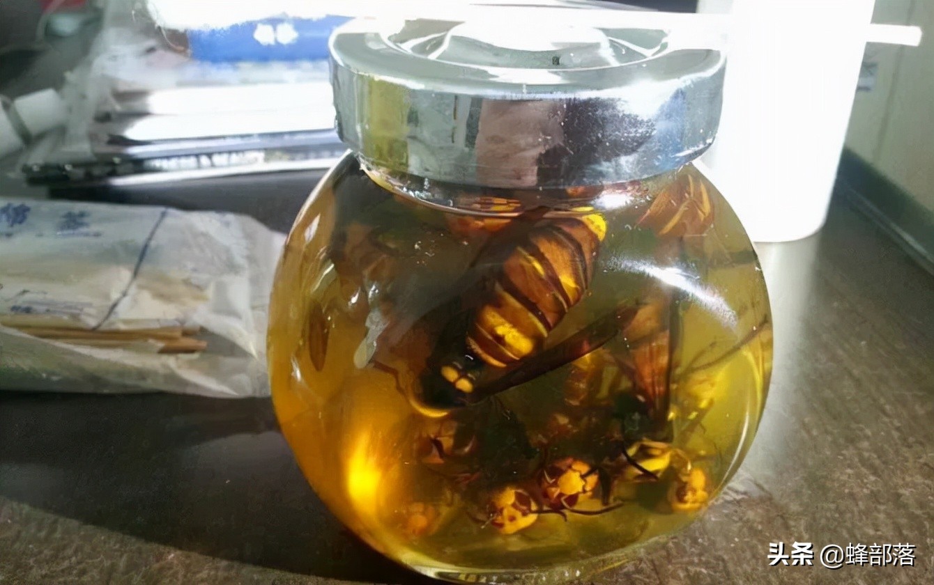 山海经毒蜂钦原,山海经里面的钦原