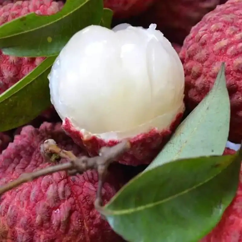 马云说实体店倒闭不是我的错,马云谈未来实体店的前景