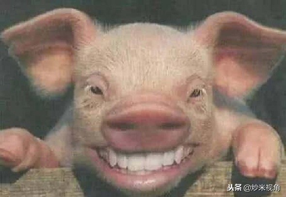 明朝皇帝姓朱怎么称呼,明朝皇帝姓朱有什么好处