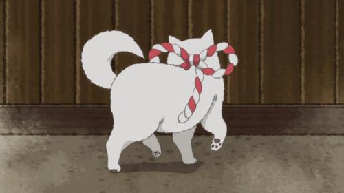 柚子高颜值推荐,柚子18斤