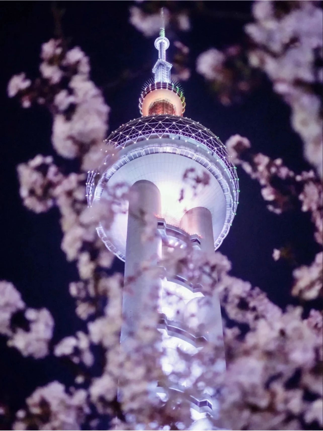 上海的热搜,最近热搜的上海