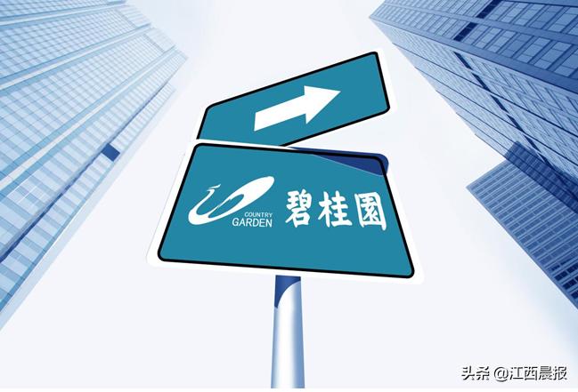 碧桂园萍乡一期,碧桂园萍乡白名单明细